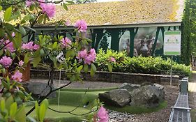 REGIOHOTEL Germania am Kurpark Bad Harzburg